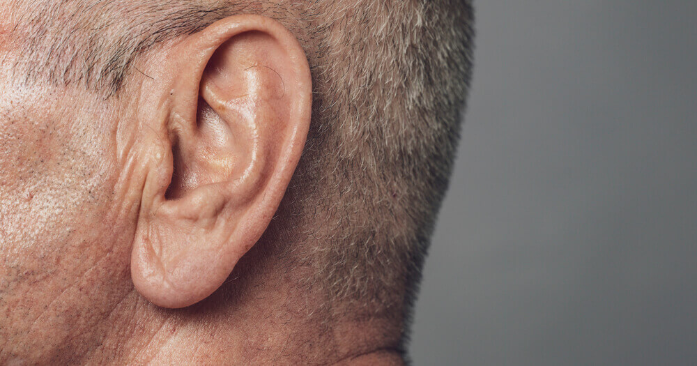 Abbildung eines Ohres zur Veranschaulichung einer Entzündung des äußeren Gehörgangs - Otitis externa